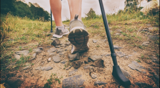 D.F.N.W.™ - Dynamic-Fascia-Nordic-Walking