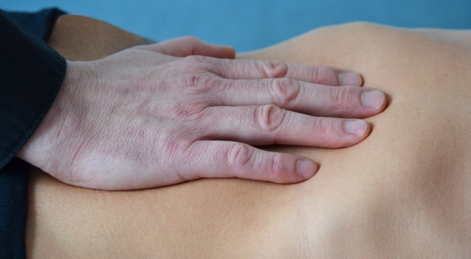 Fasziale Therapie im Kontext der Osteopathie - MyA, BLT, GOT (CFO)